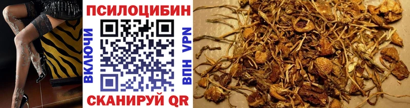 Псилоцибиновые грибы Cubensis  Купить где  Полевской 